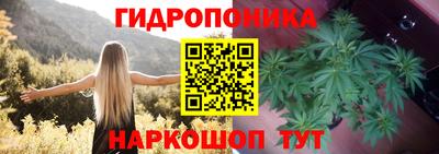 круглые Будённовск