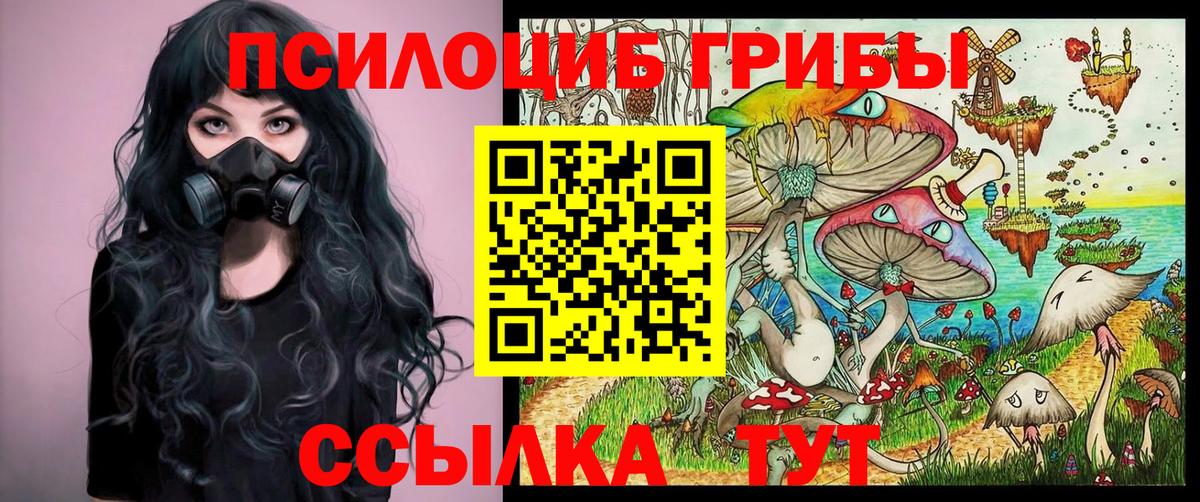 Новочебоксарск  Галлюциногенные грибы Cubensis  как найти наркотики  Вход с VPN 